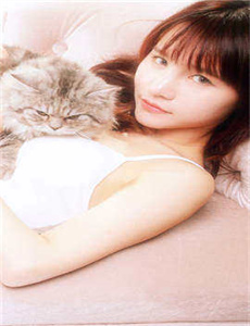 大话腐女