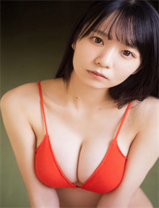 极速小绵羊
