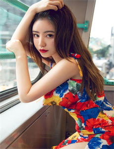 赘婿电视剧